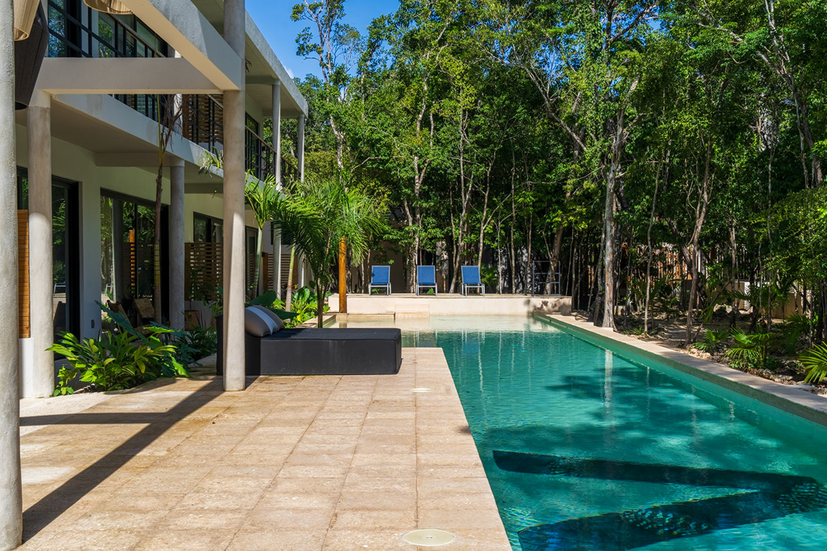Swimming pool running beside the building and tropical trees — Attha