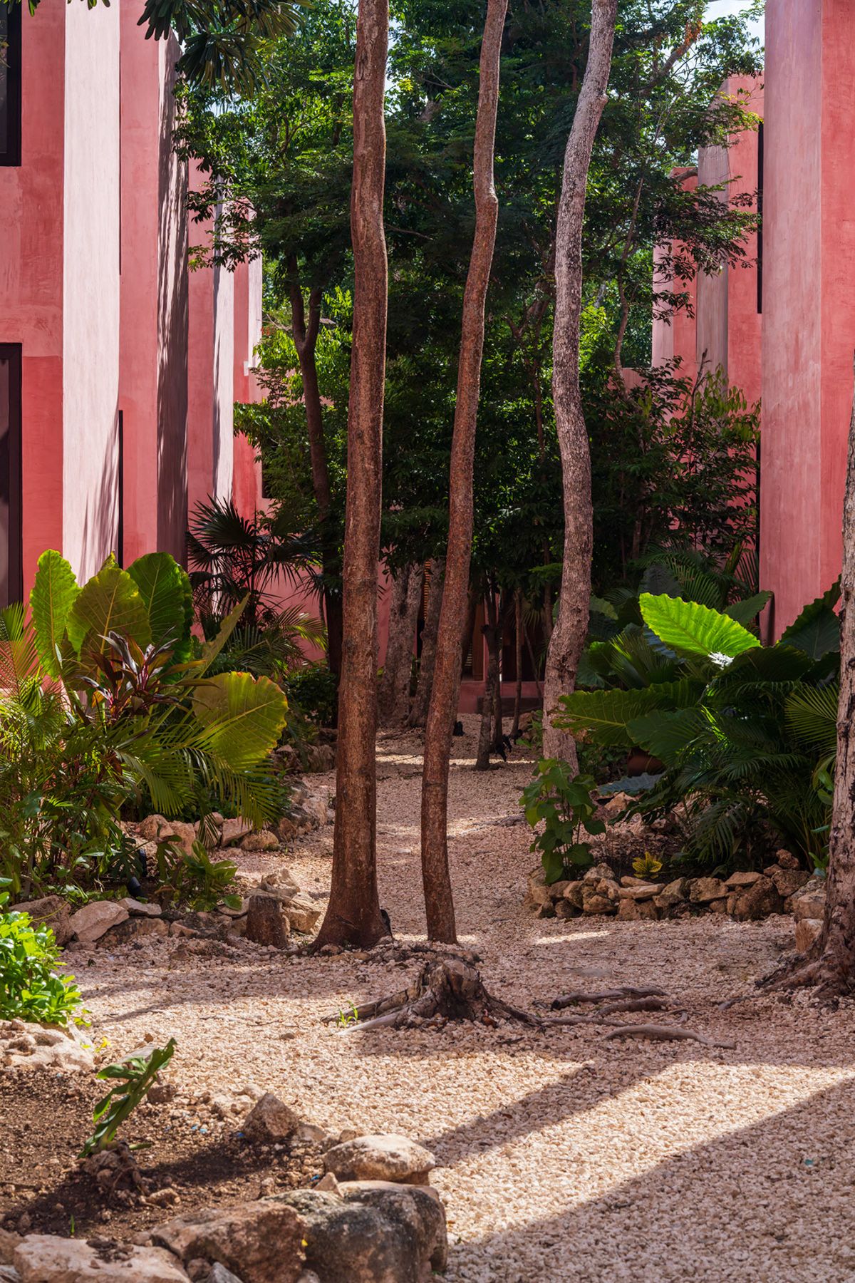 Tropical planting beside the pink exterior walls — Casa Nikte
