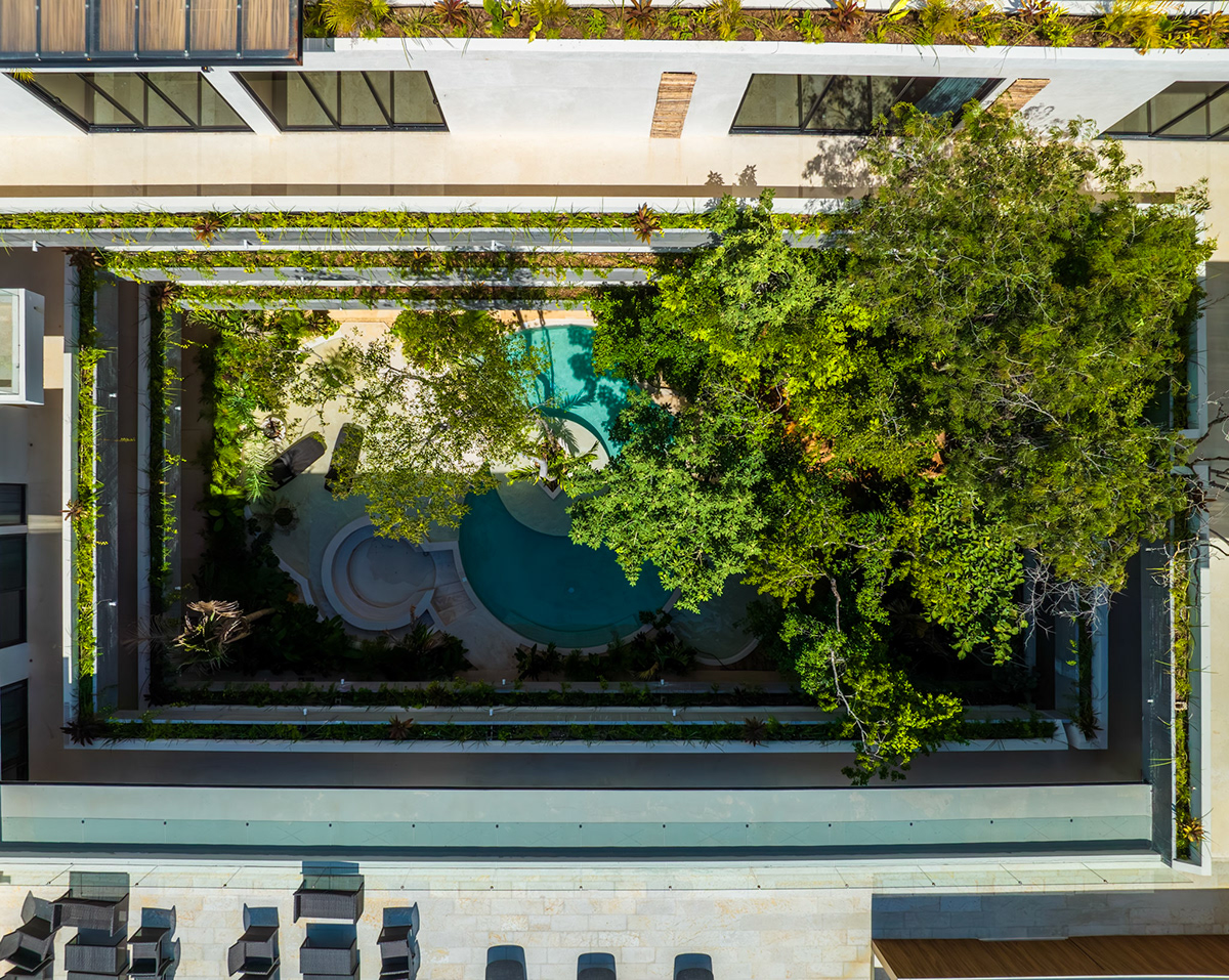 Overhead aerial view of the planted courtyard and swimming pool — Casa Noil 26