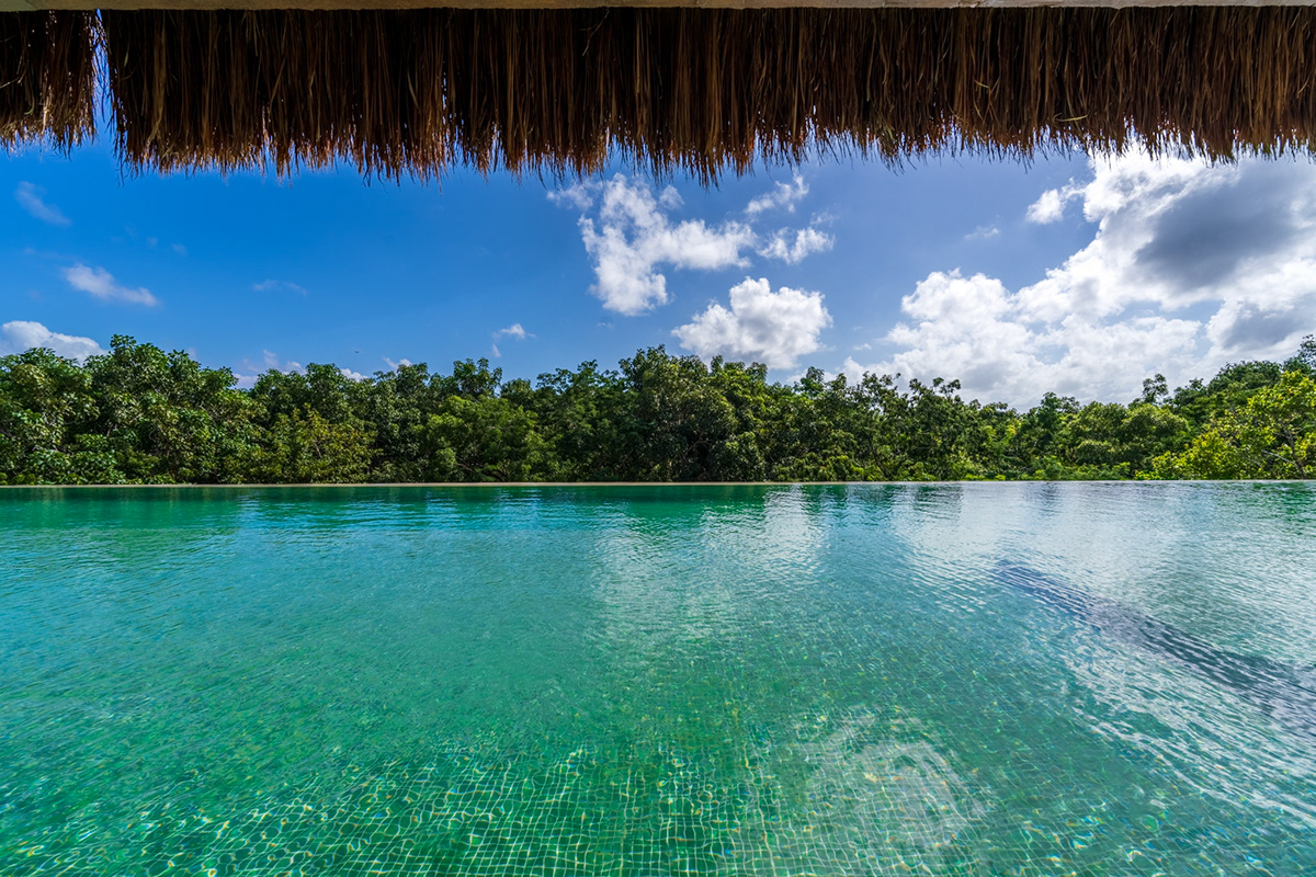 Swimming pool with a thatched roof edge and tropical tree views — Paramar