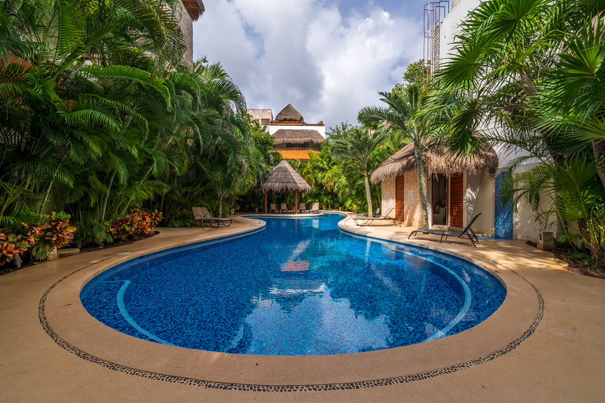 Curved swimming pool surrounded by palms and tropical planting — Real Zama